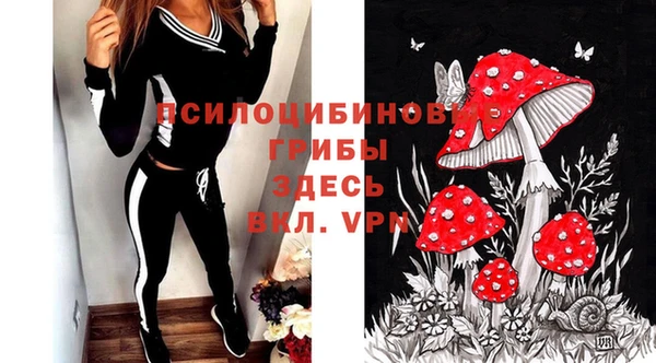 герыч Осинники