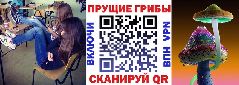 Купить закладки  Юрьевец  Псилоцибиновые грибы GOLDEN TEACHER 